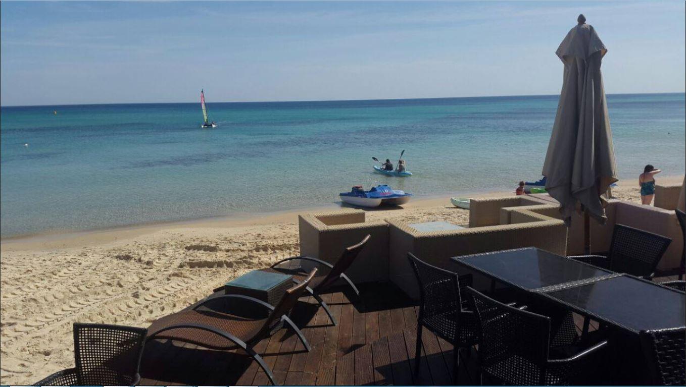 Palm Hammamet