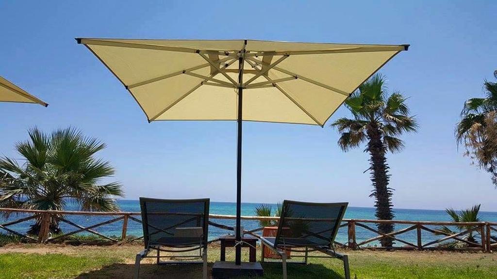 Hotel Palm 4*
